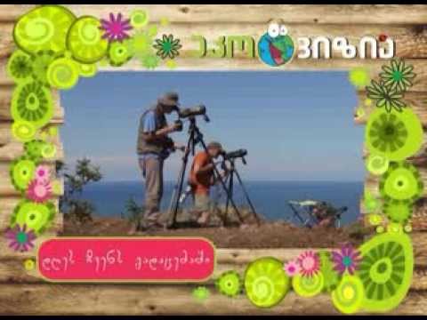 გადამფრენი ფრინველები - Migratory Birds - გადაცემა \'ეკოვიზია\' - 'Ecovision' TV Show